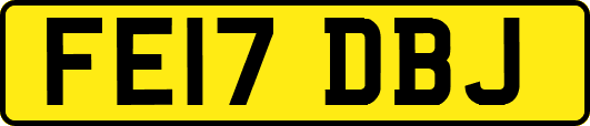 FE17DBJ