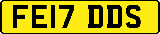 FE17DDS