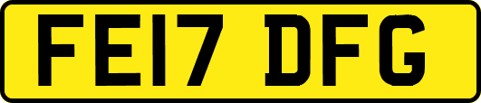 FE17DFG