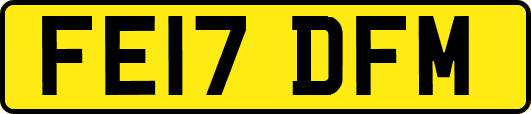 FE17DFM