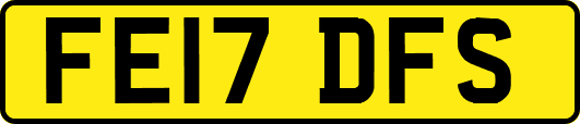 FE17DFS