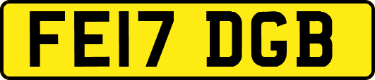FE17DGB