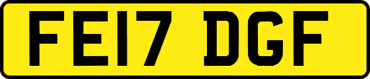 FE17DGF