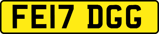 FE17DGG