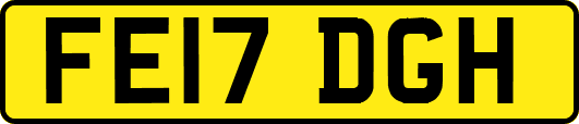 FE17DGH