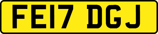 FE17DGJ