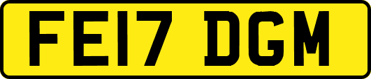 FE17DGM