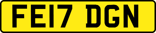 FE17DGN