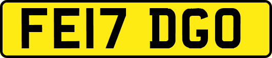FE17DGO
