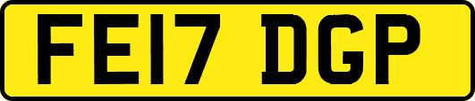 FE17DGP