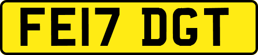FE17DGT