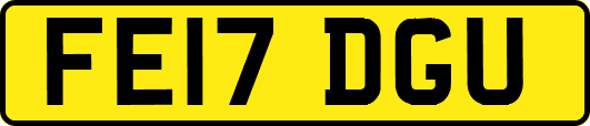 FE17DGU