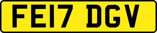 FE17DGV