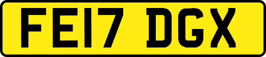 FE17DGX