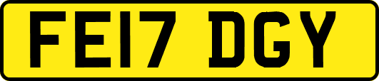 FE17DGY