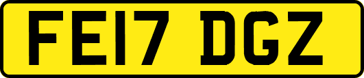FE17DGZ
