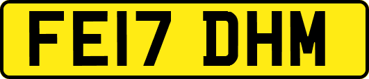 FE17DHM