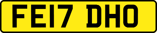FE17DHO