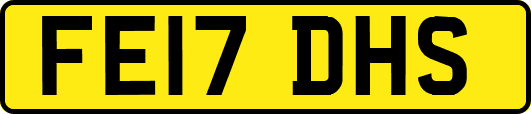 FE17DHS