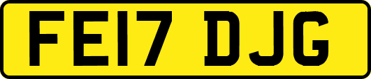 FE17DJG