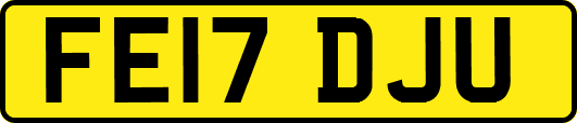 FE17DJU