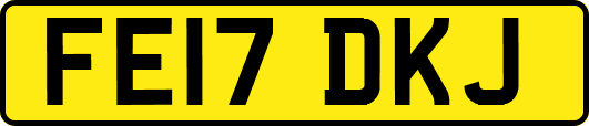 FE17DKJ