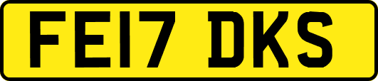 FE17DKS