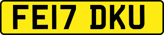 FE17DKU