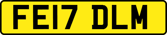 FE17DLM