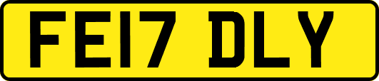 FE17DLY