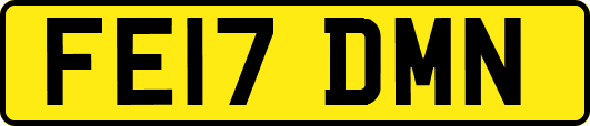 FE17DMN