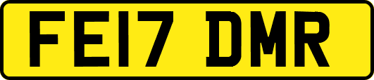 FE17DMR