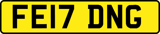 FE17DNG