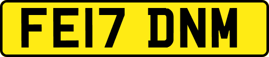 FE17DNM