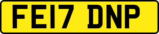 FE17DNP