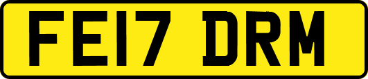 FE17DRM