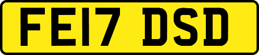 FE17DSD