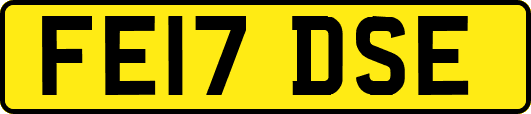 FE17DSE