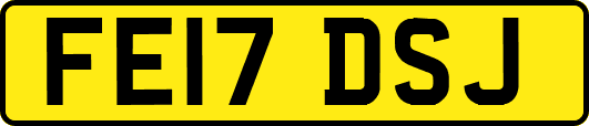 FE17DSJ