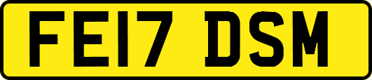 FE17DSM
