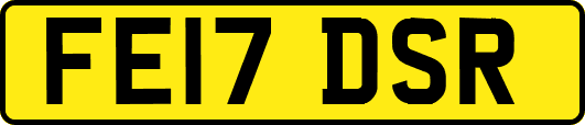 FE17DSR