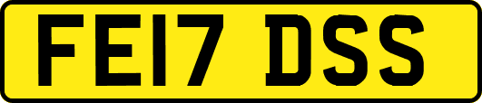 FE17DSS