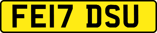 FE17DSU