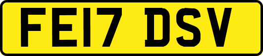FE17DSV