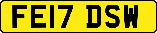 FE17DSW