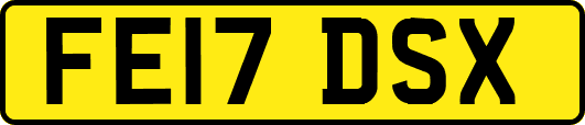 FE17DSX