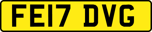 FE17DVG