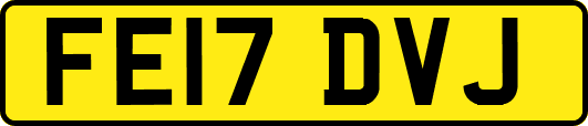 FE17DVJ