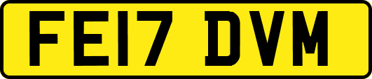FE17DVM