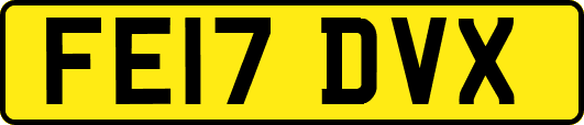 FE17DVX
